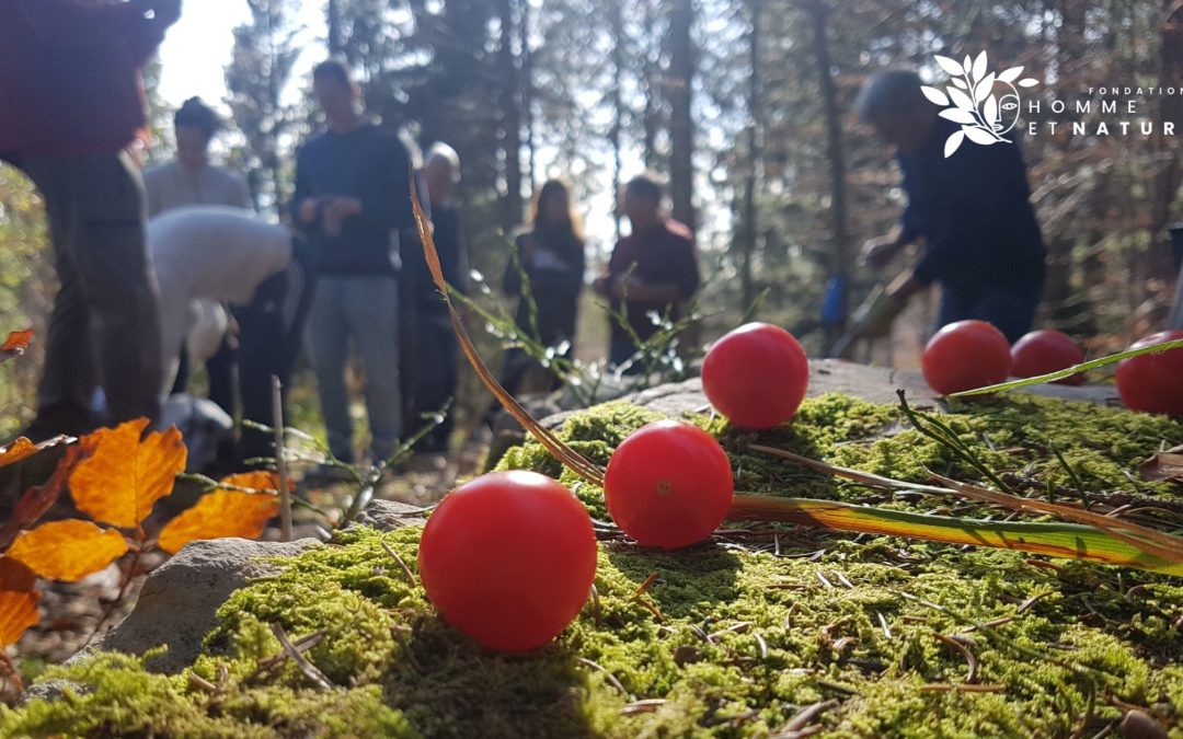 balade forêt risoud jura Fondation Homme Nature Thierry de Preux Diane Hostettler
