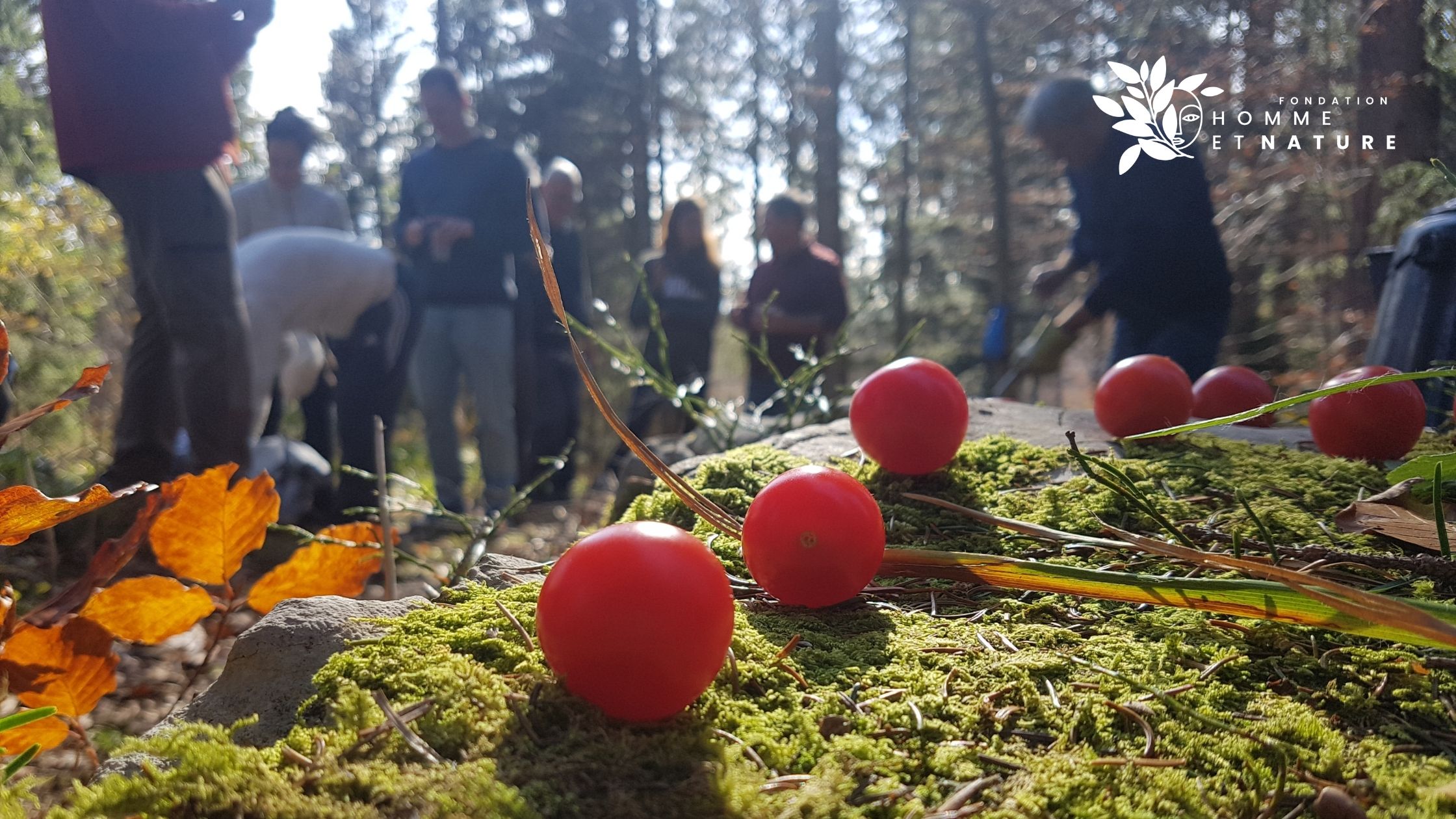 Balade guidée dans la forêt du Risoud: récit d’une balade conviviale
