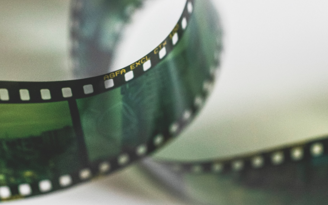 festival du film vert Fondation Homme et Nature