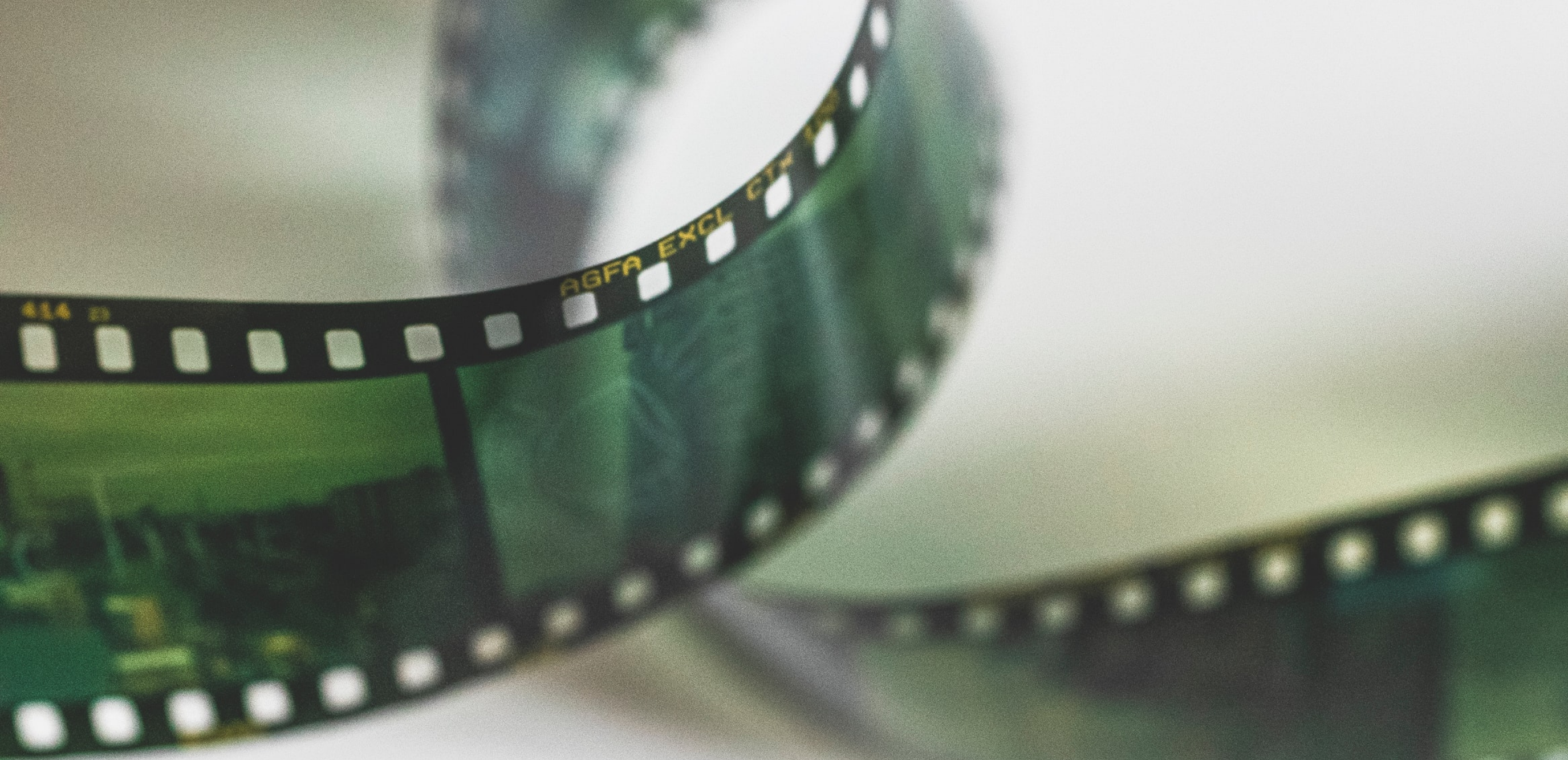 La 17ème édition du Festival du Film vert s’annonce haute en couleur !