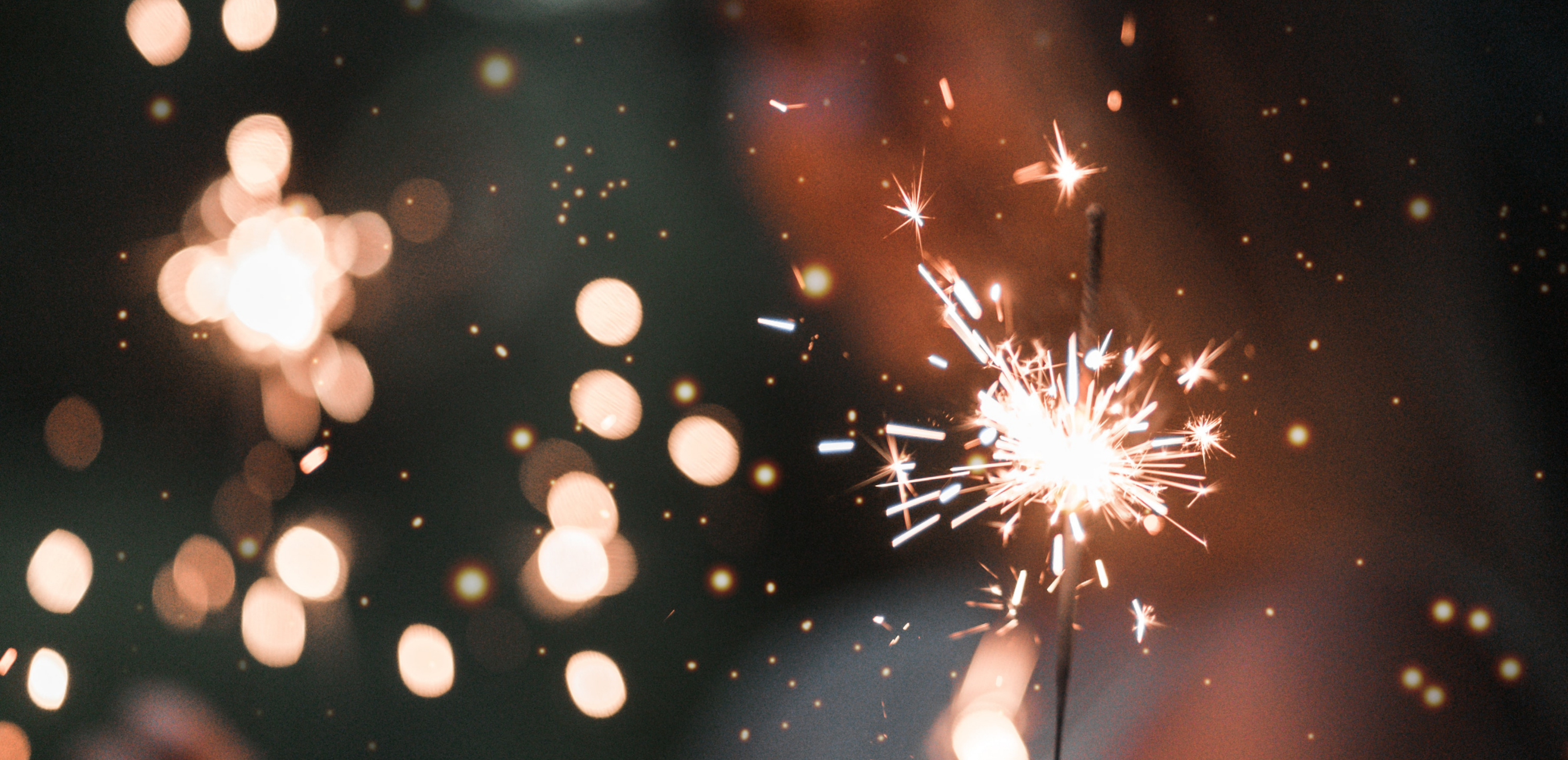 La Fondation Homme et Nature fête sa 1ère année !