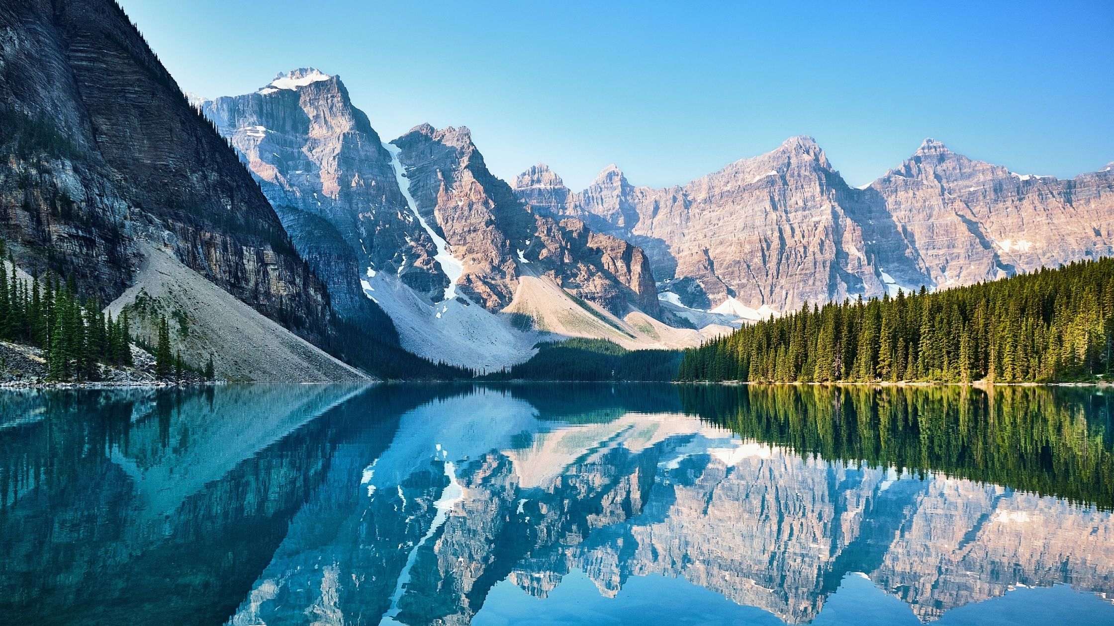 L’Endroit du monde de Kim Pasche : En quête de la vie sauvage