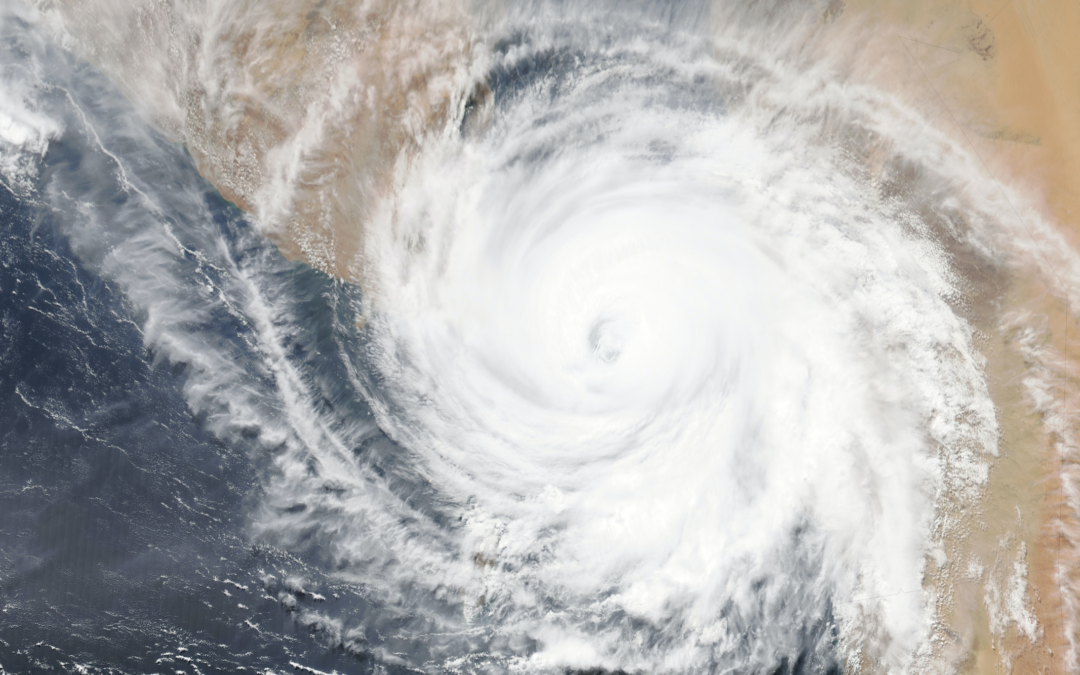 trois livres positifs Fondation Homme et Nature