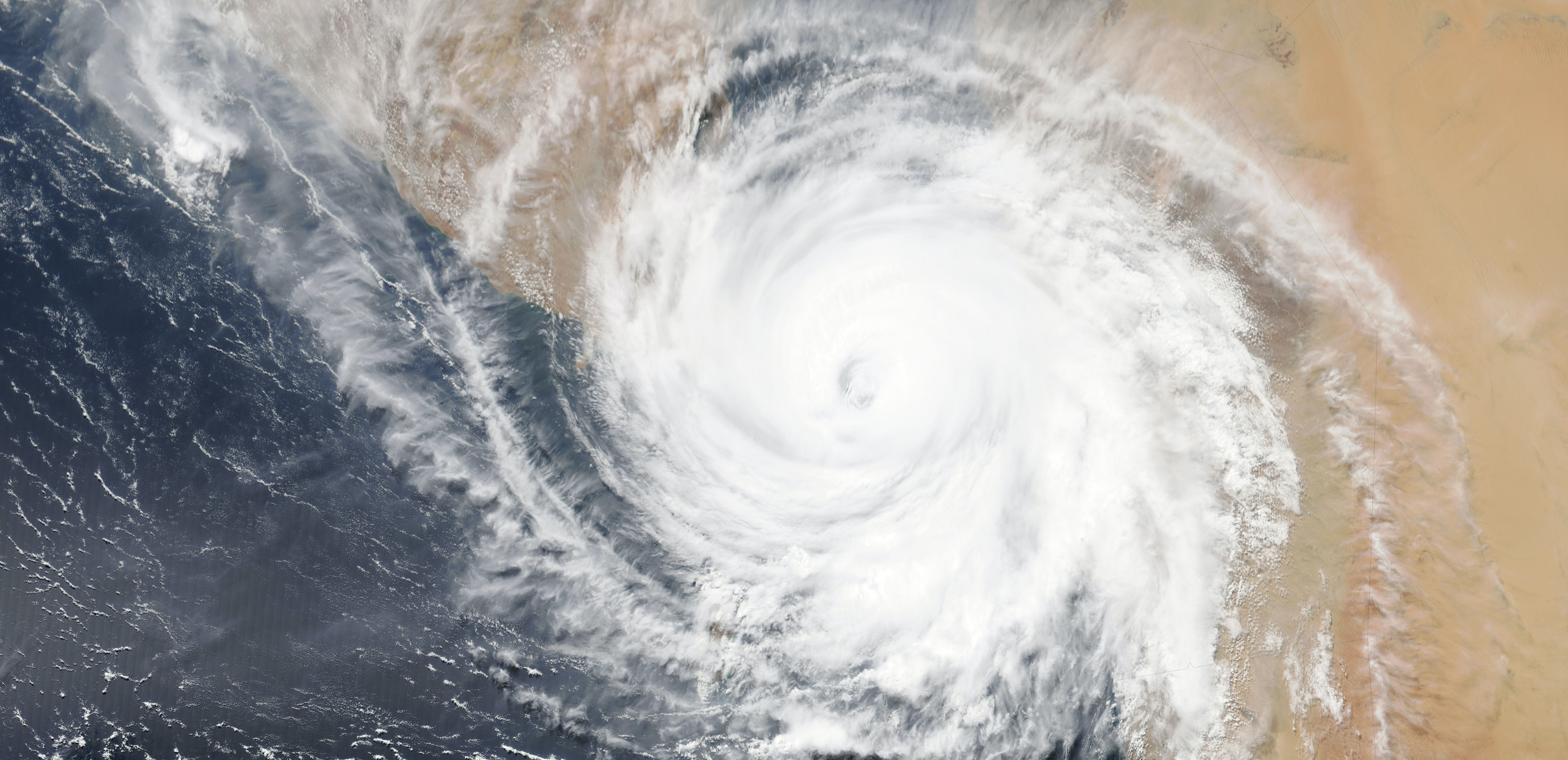 J’ai lu trois livres positifs sur notre avenir