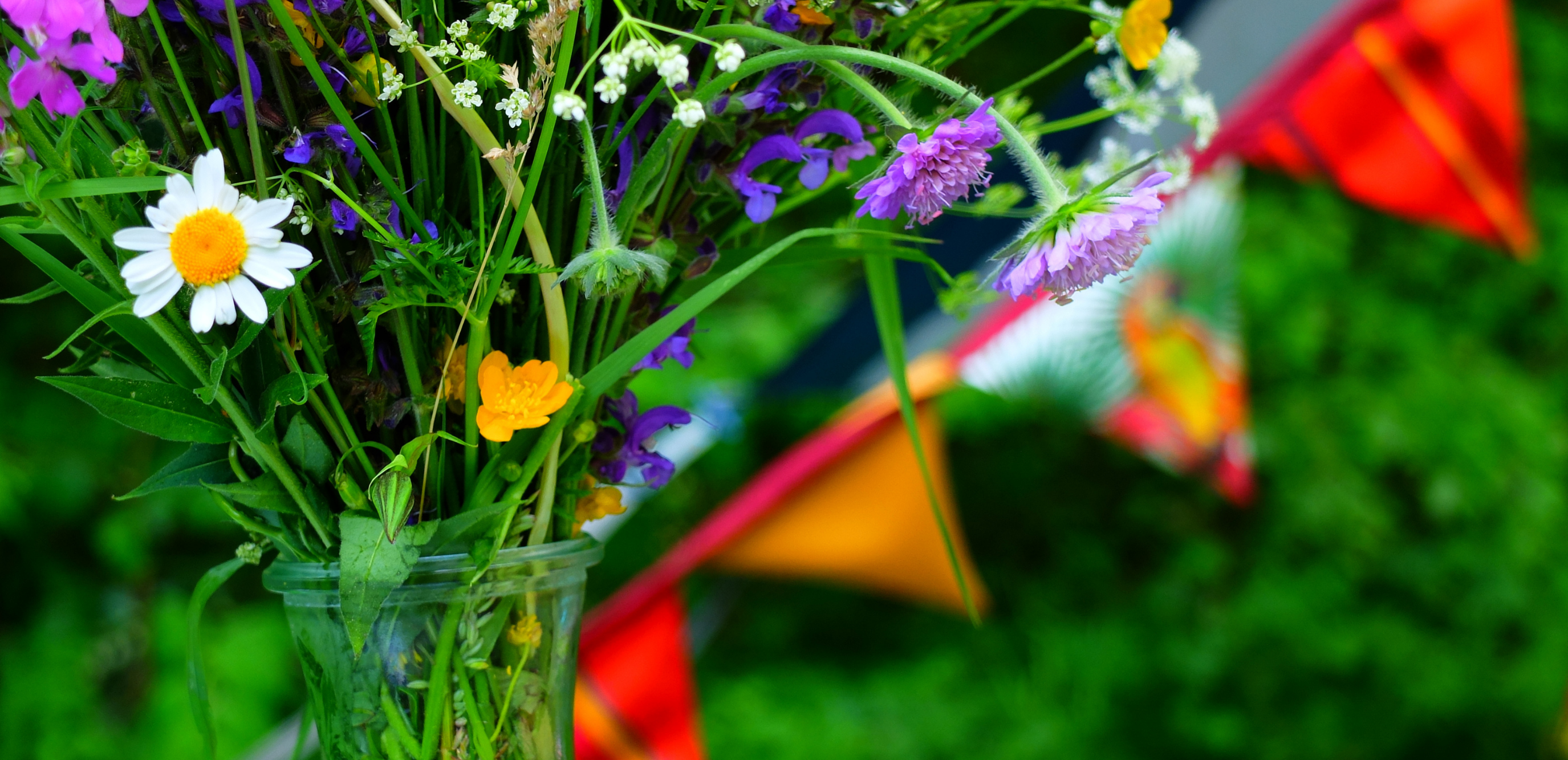 Une chasse au trésor dans un écrin de nature