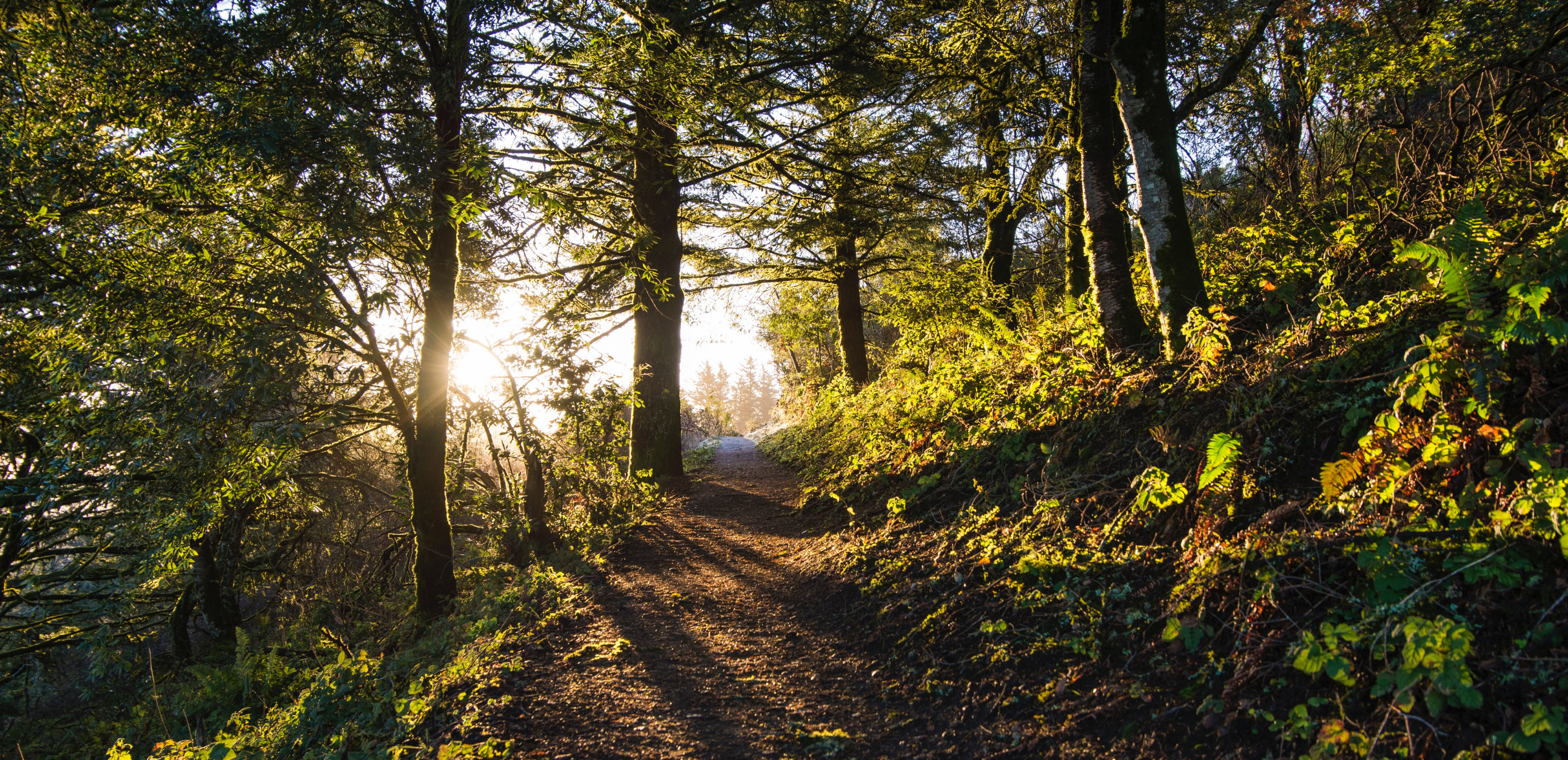 Comment réduire les déchets en forêt ?
