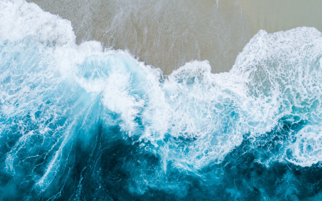 cycles naturels Fondation Homme et Nature