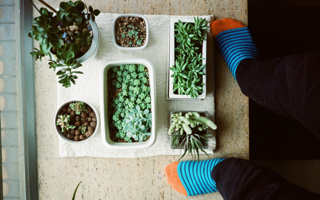 Bonne résolution 2023 : Mettez plus de nature dans votre vie