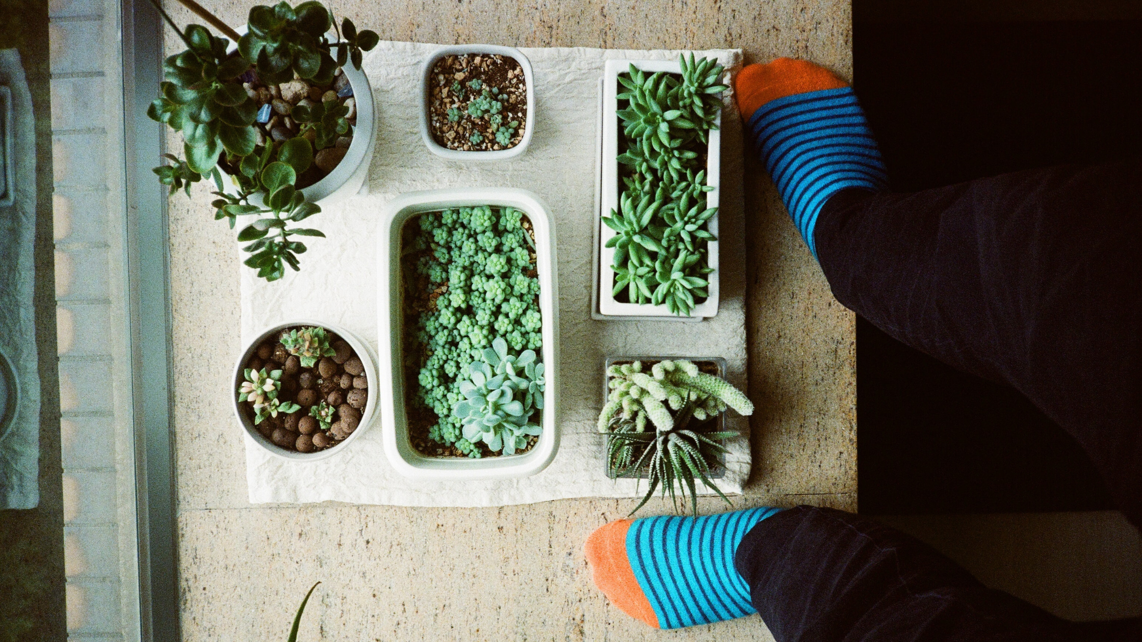 Bonne résolution 2023 : Mettez plus de nature dans votre vie