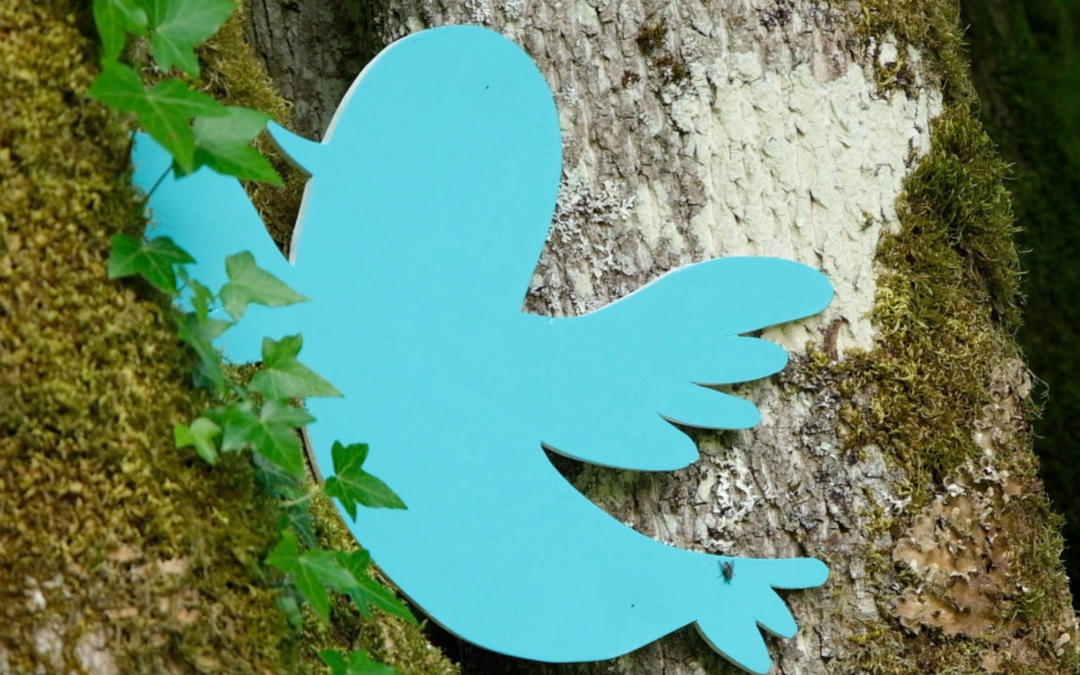 Rêveillons-nous Best Of