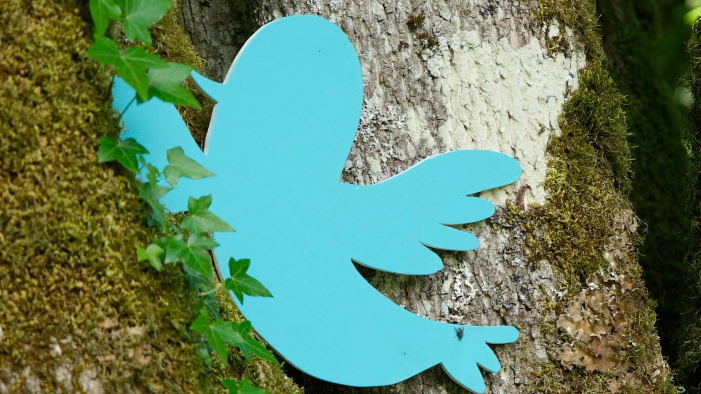 Rêveillons-nous ! Le Best Of