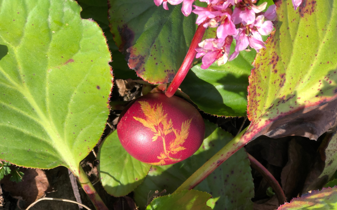 impression végétale L'atelier de Zera Fondation Homme et Nature