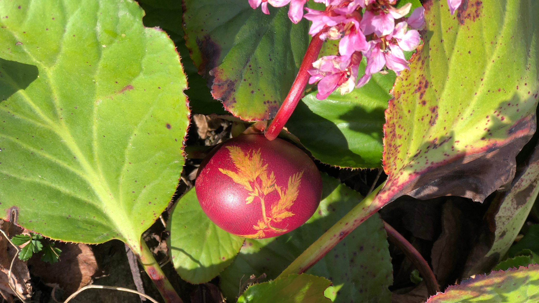 L’impression végétale ou comment mêler plantes et créativité
