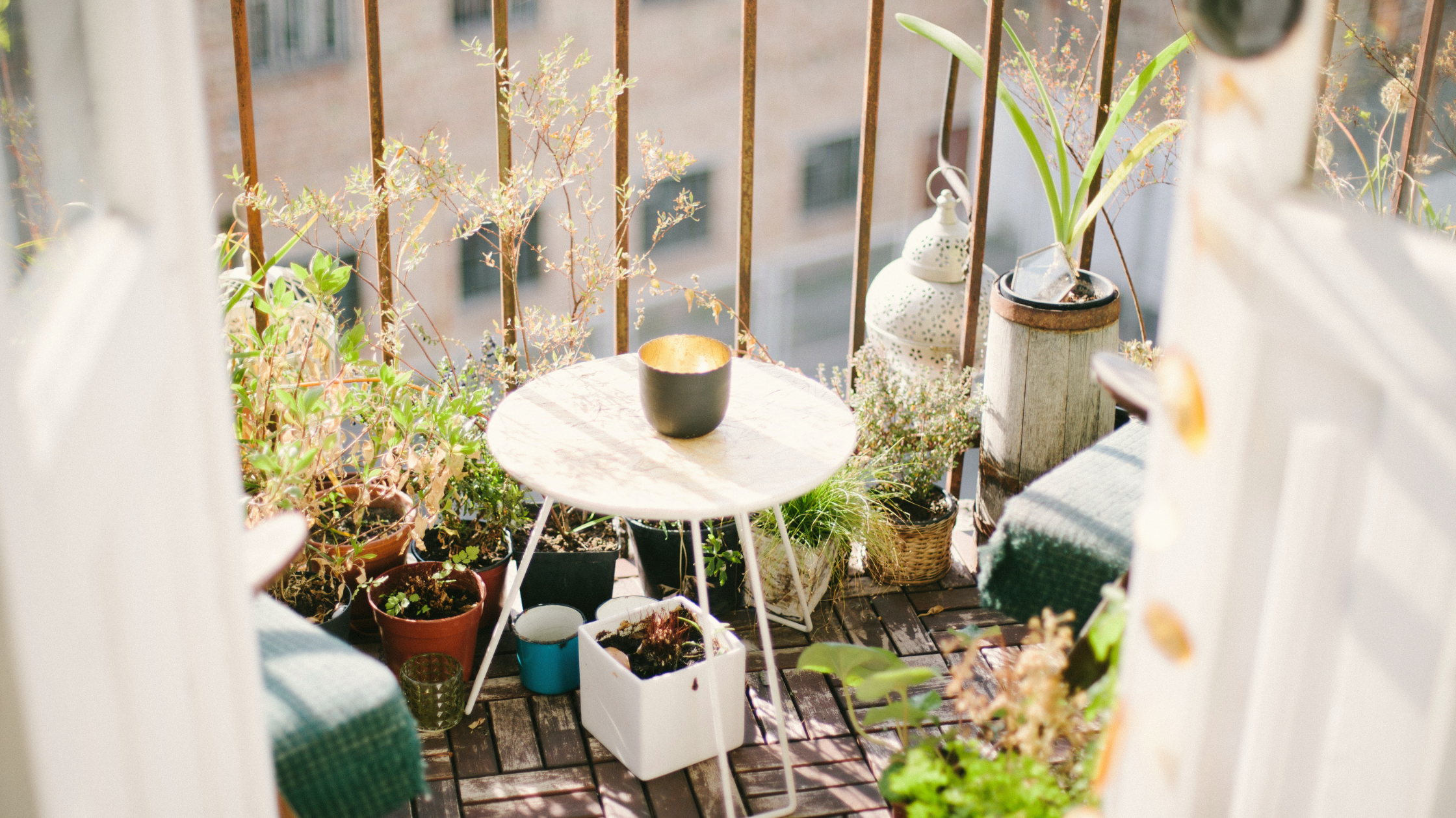 J’habite en ville : Comment faire une place à la nature dans mon quotidien ?