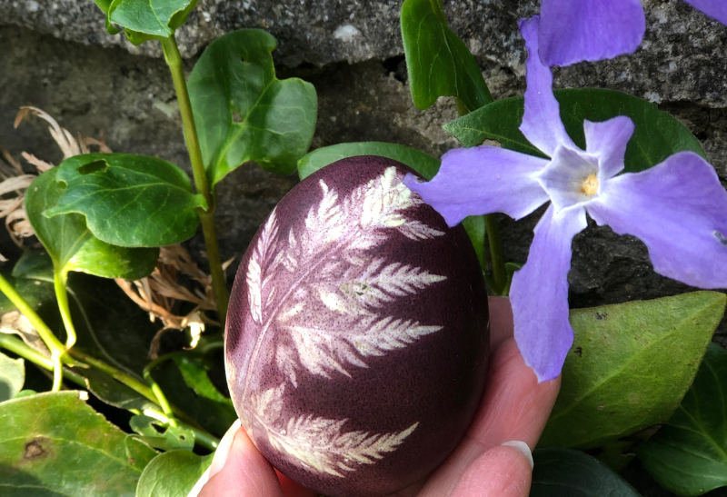 Impression végétale au parc Oeufs de Pâques avec L'Atelier de Zera et La Fondation Homme et Nature