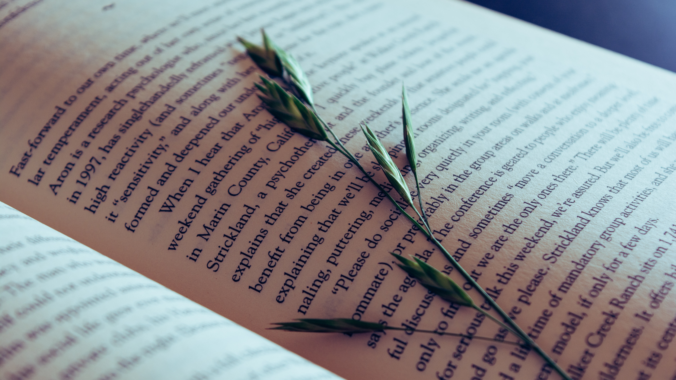 Rencontrer la beauté du monde ouvre au sacré