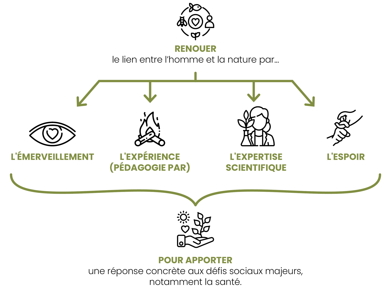 4E nos valeurs Fondation Homme et Nature