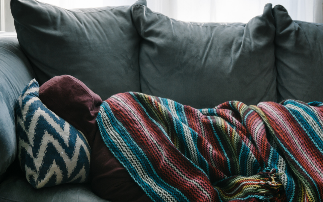 Des plantes pour la prévention des pathologies hivernales