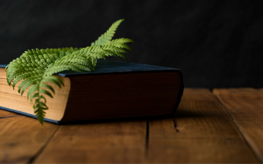 protéger sa santé mentale