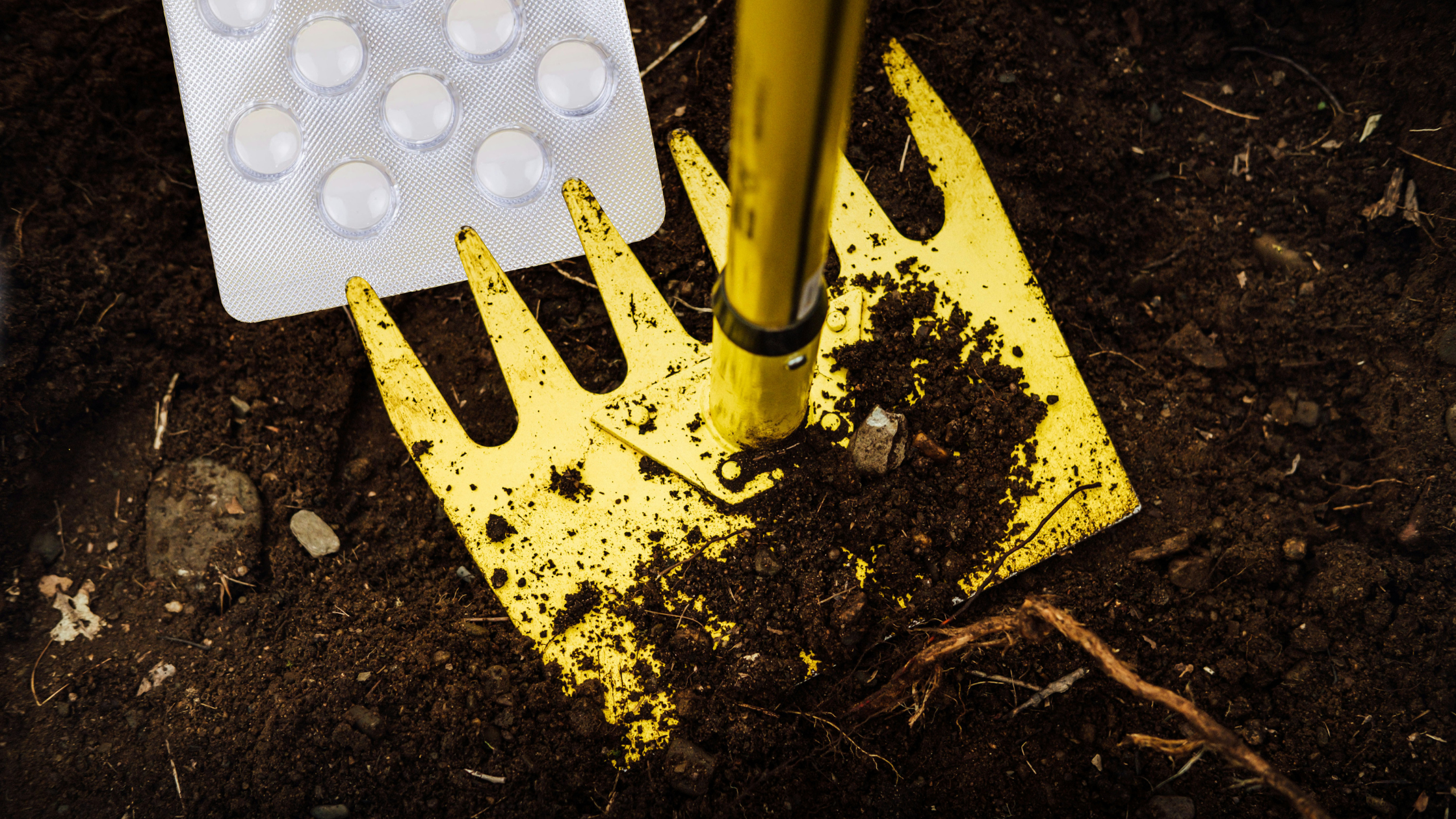 Binettes contre anxiolytiques