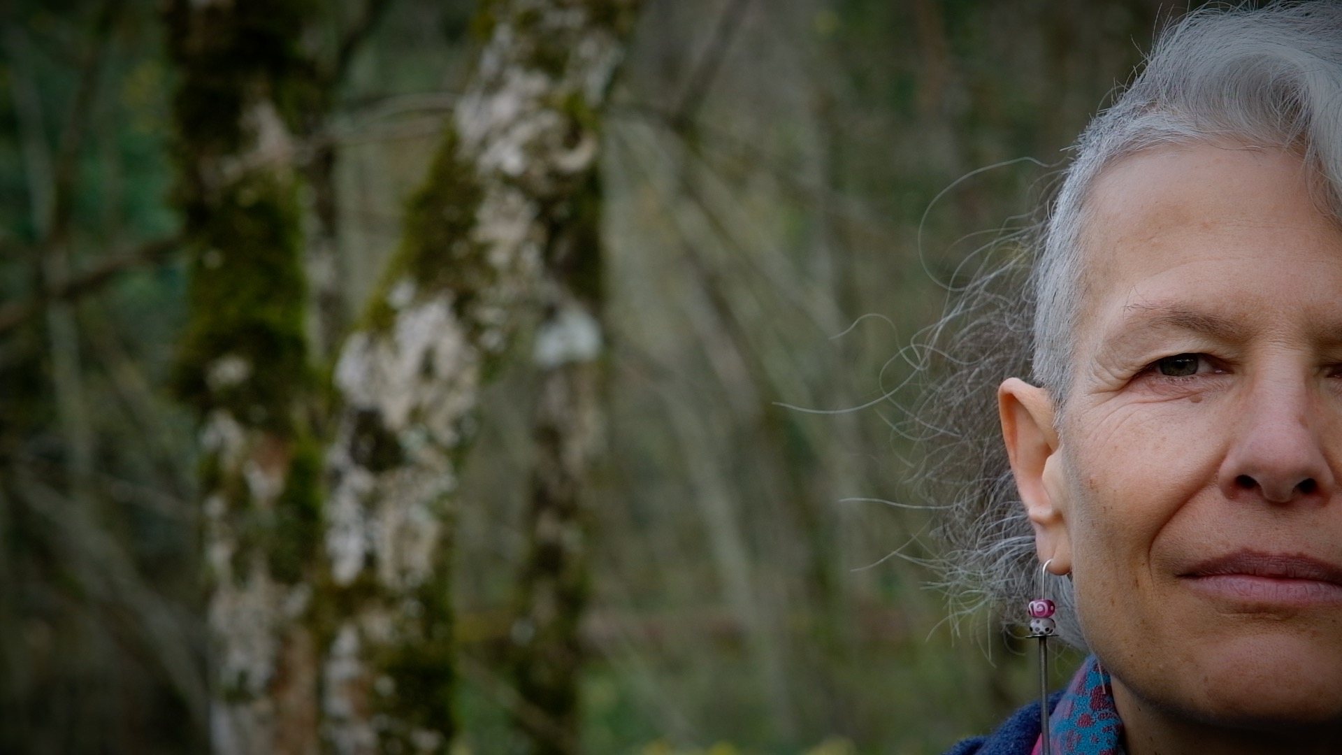 Le monde intérieur de Myriam Wildi et celui des fleurs