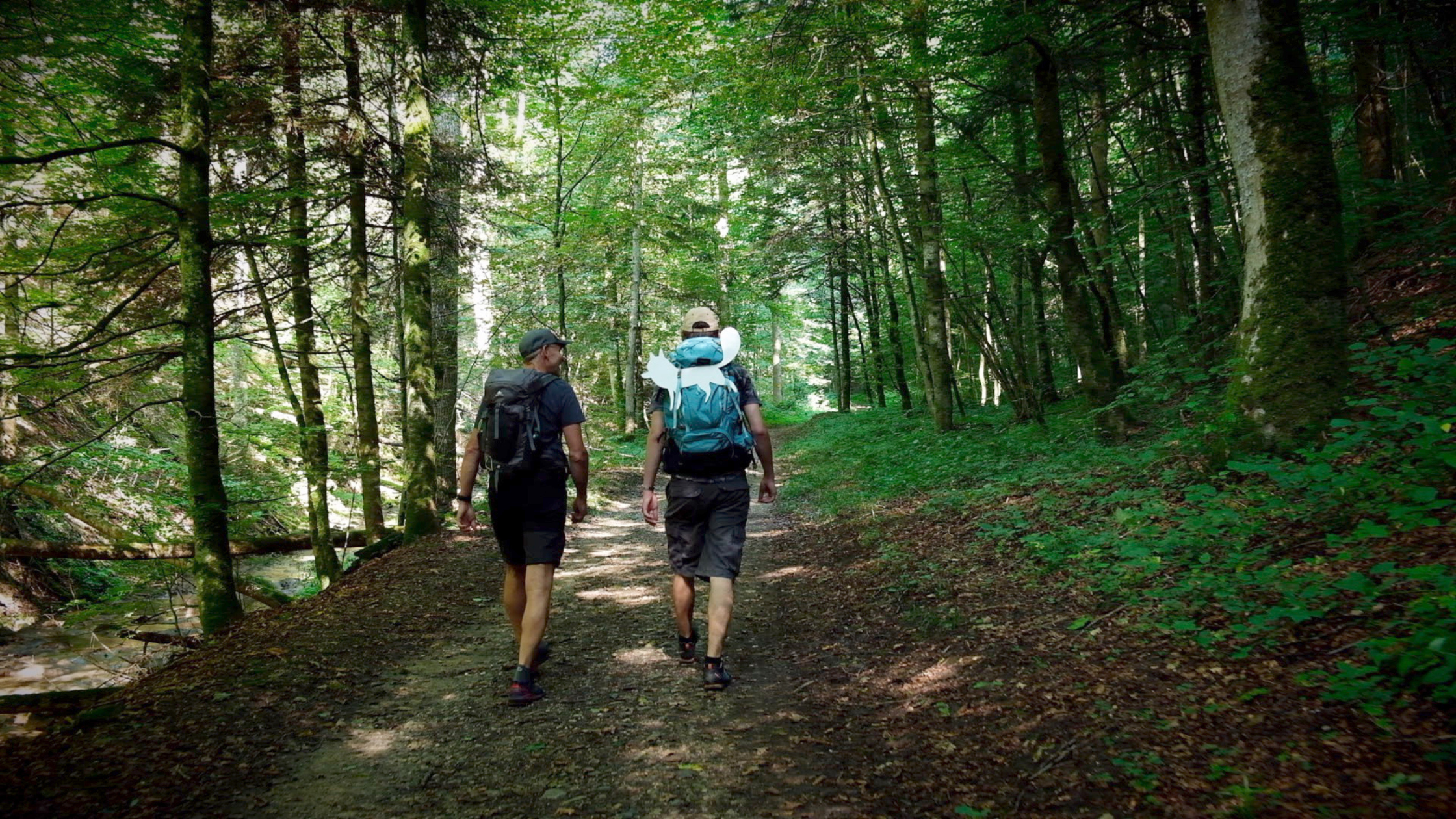 Philippe Risler et Colin Gougler : La marche pour faire le vide