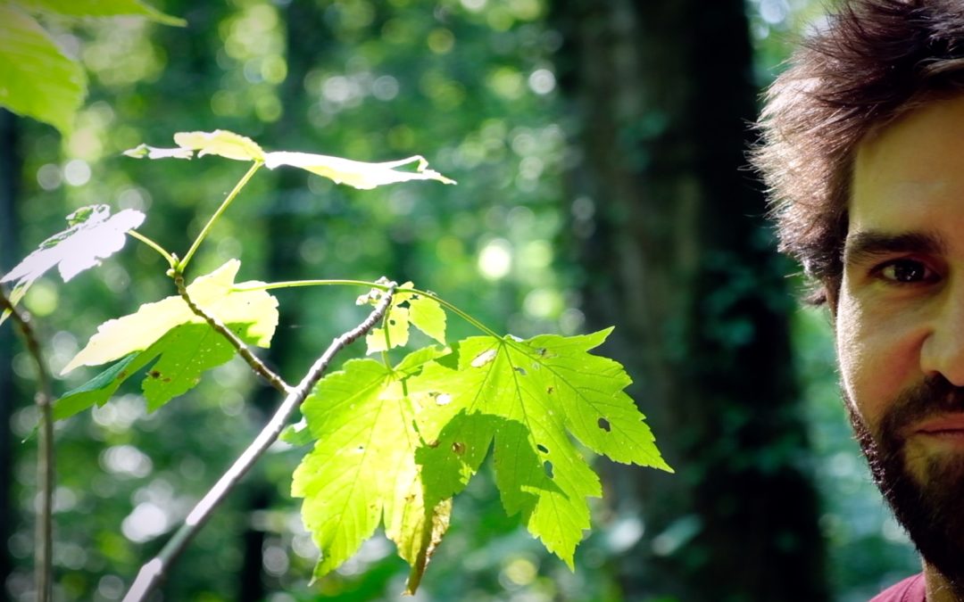 Daniel Groux Rêveillons- nous ! Fondation Homme et Nature