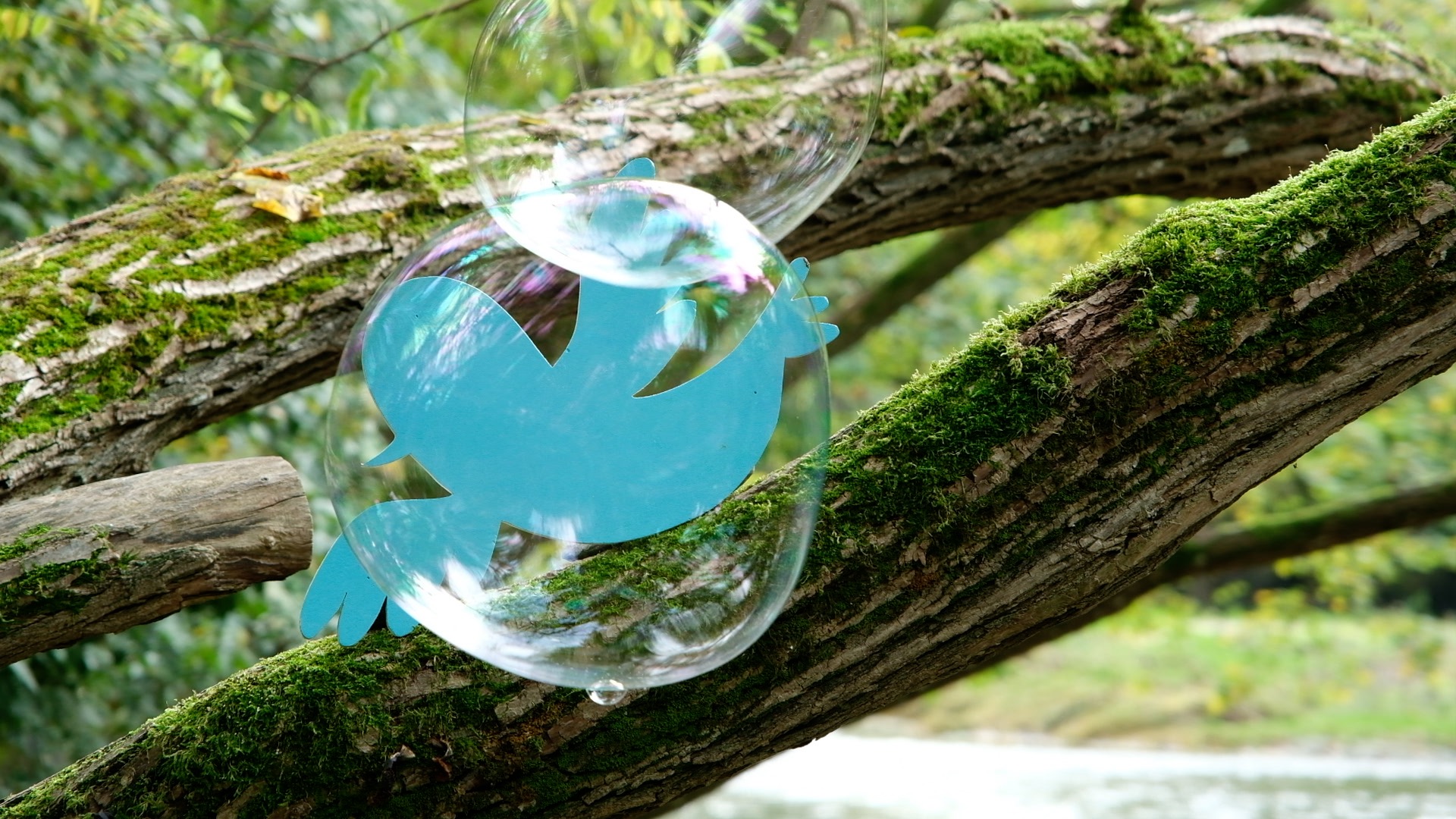 La rétrospective des rêves 2024