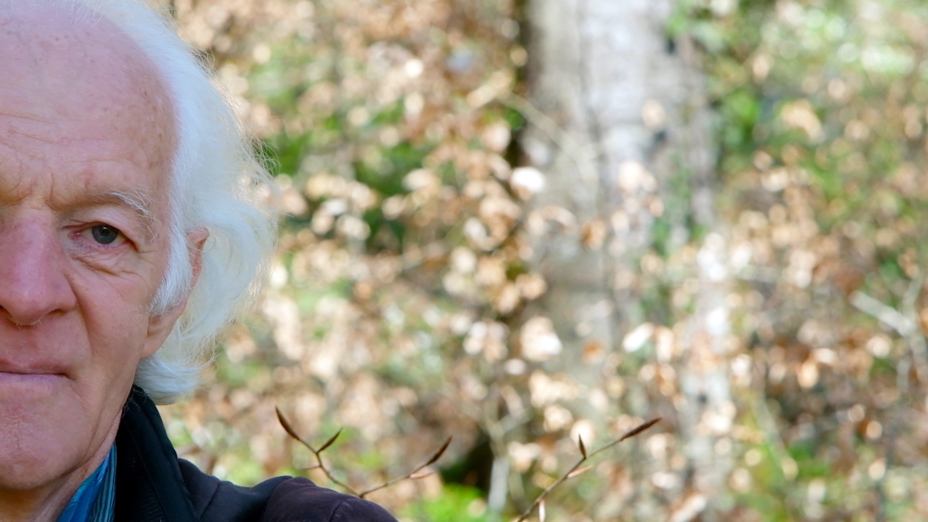 🌳Ernst Zürcher, cultiver les graines du symbiocène🌳